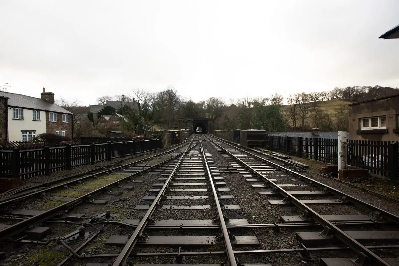 Spoorrails die tussen groene begroeiing naar de ingang van een tunnel lopen