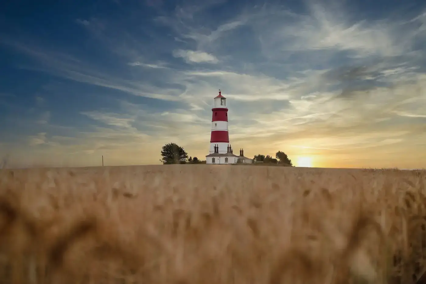 Scenic view of a lighthouse in the English countryside at sunrise, surrounded by a wheat field.