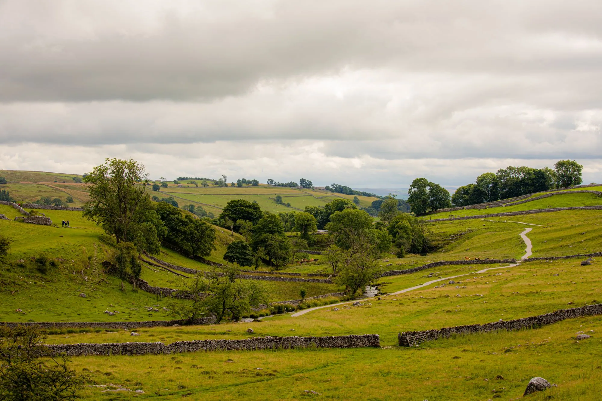 Idyllic landscape with rolling meadows, stone walls, and cloudy sky, perfect for nature lovers.