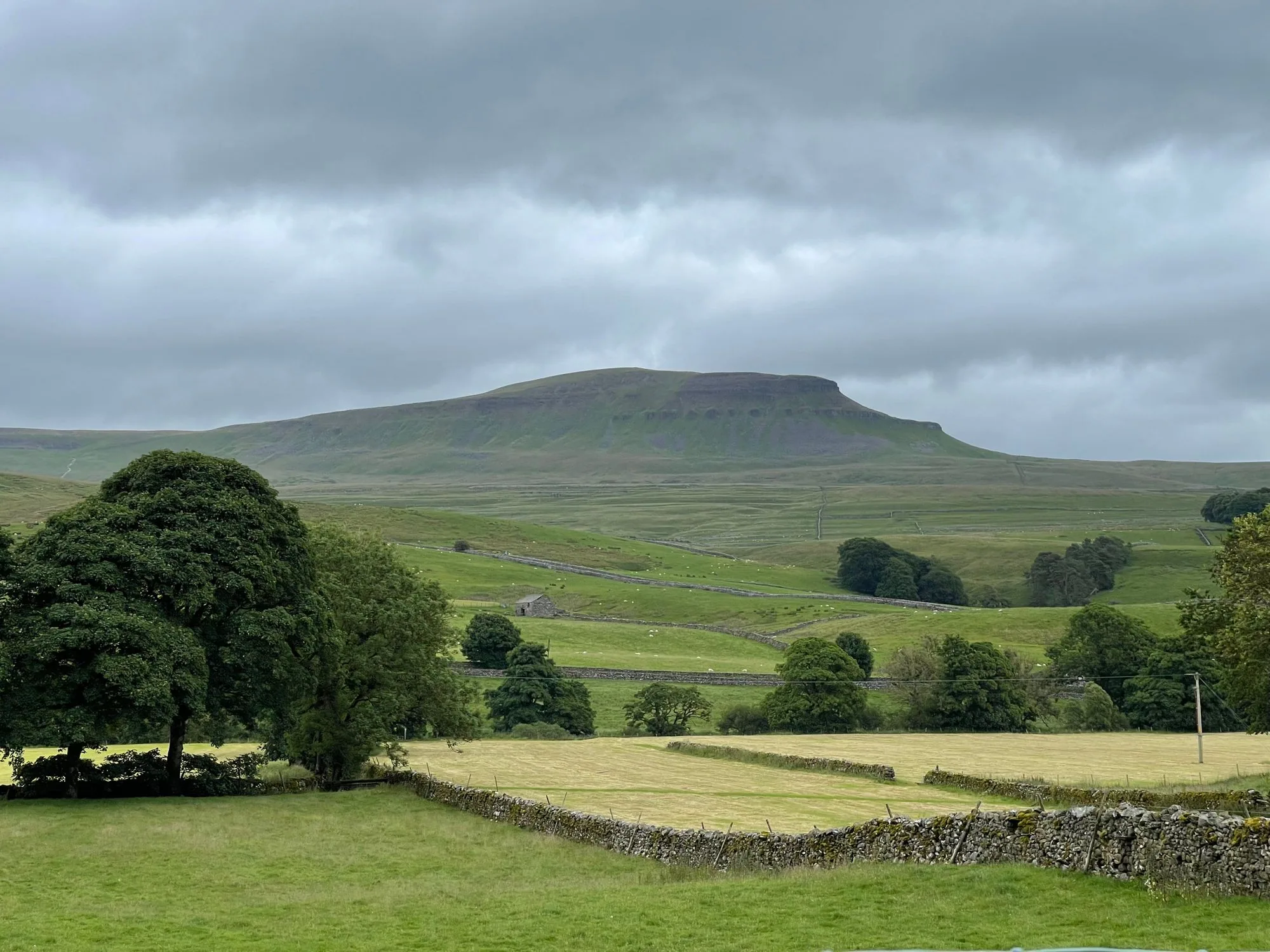 Scenic view of Whernside in Yorkshire Dales, lush green fields and stone walls under cloudy skies.