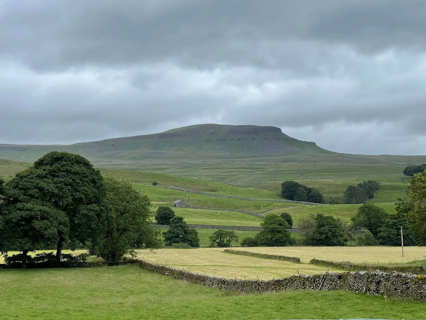 Scenic view of Whernside in Yorkshire Dales, lush green fields and stone walls under cloudy skies.