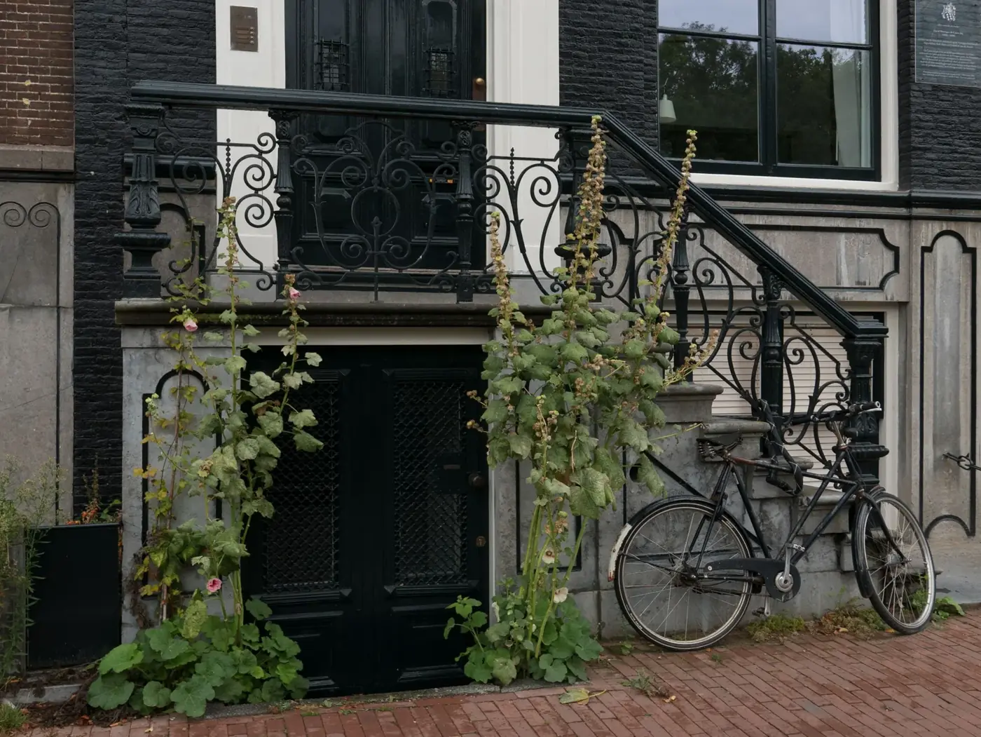 Elegant Amsterdam facade with wrought iron railing, tall plants, and a parked bicycle creates a vintage charm.